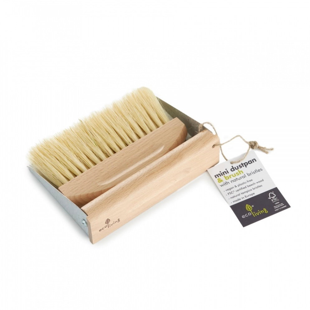 Mini Dustpan & Brush