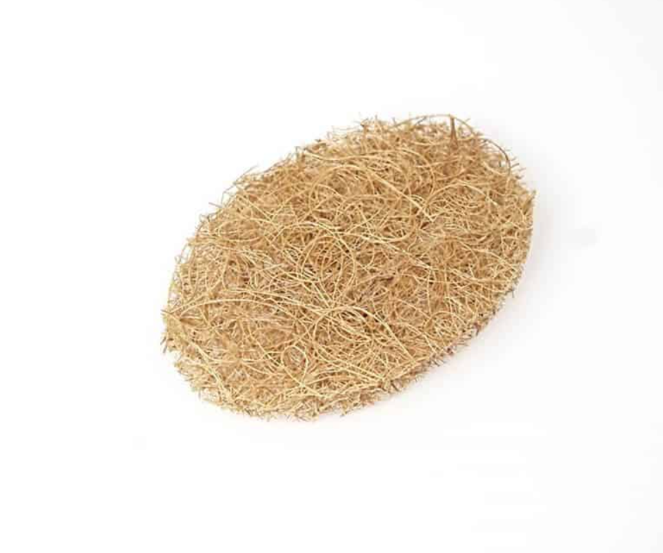 Coconut Hair Scrub Pad