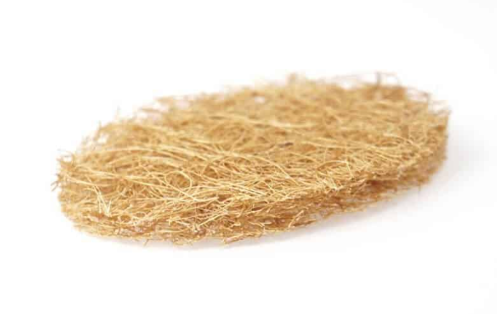 Coconut Hair Scrub Pad