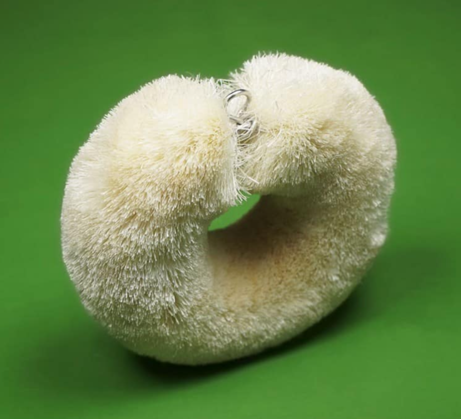 Sisal Circular / Donut Body Brush