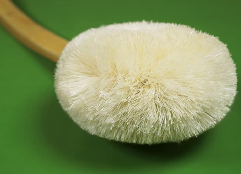 Sisal Wooden Handle Back Brush