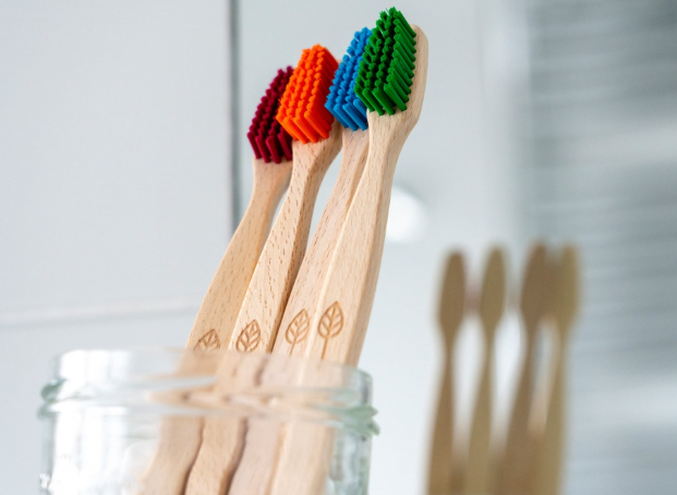 100% Plant-Based Beech Wood Toothbrush (FSC 100%) - Adult by ecoLiving