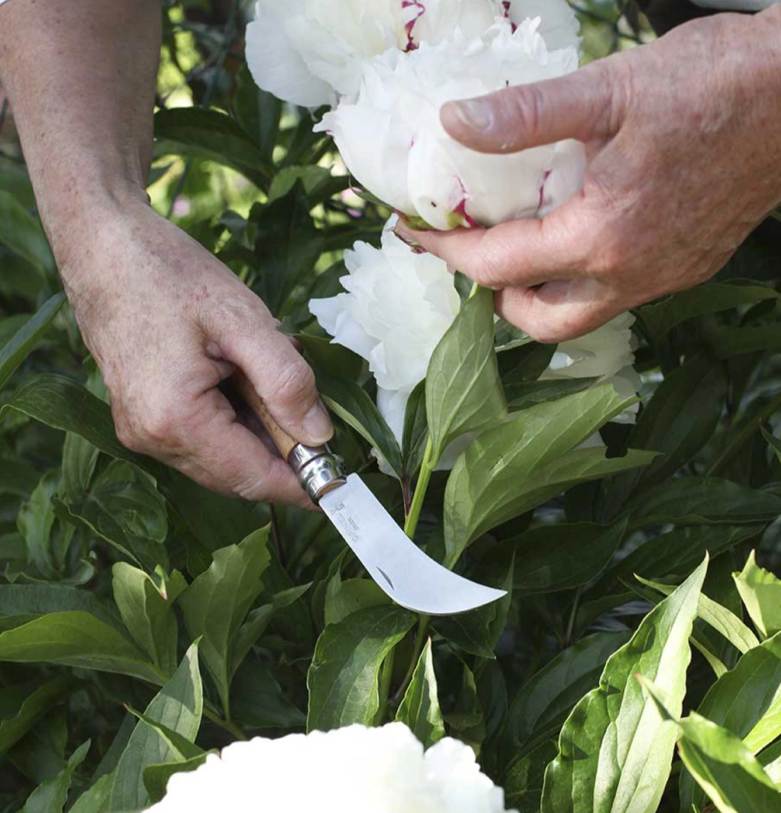 N°08 Pruning Knife - by Opinel