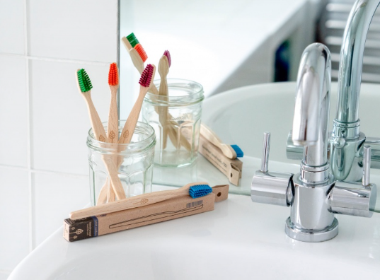 100% Plant-Based Beech Wood Toothbrush (FSC 100%) - Adult by ecoLiving