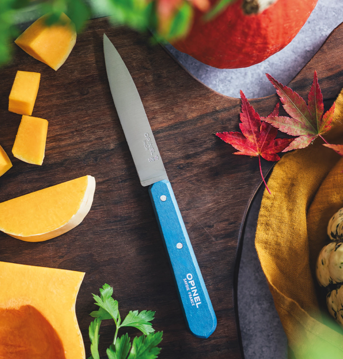 Paring Knife N°112 - by Opinel