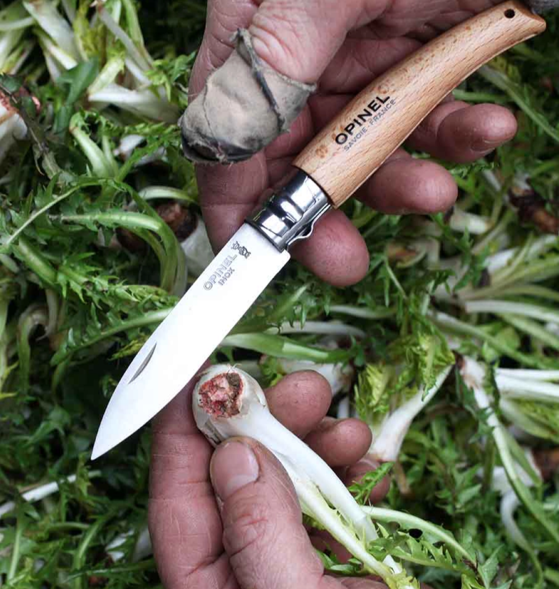 N°08 Garden Knife - by Opinel