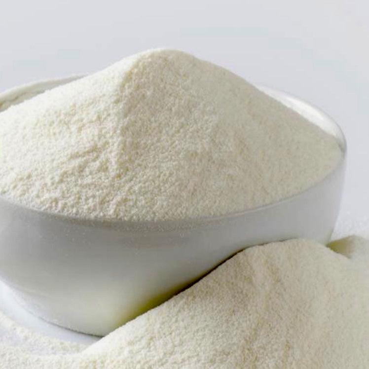 Skimmed Milk Powder