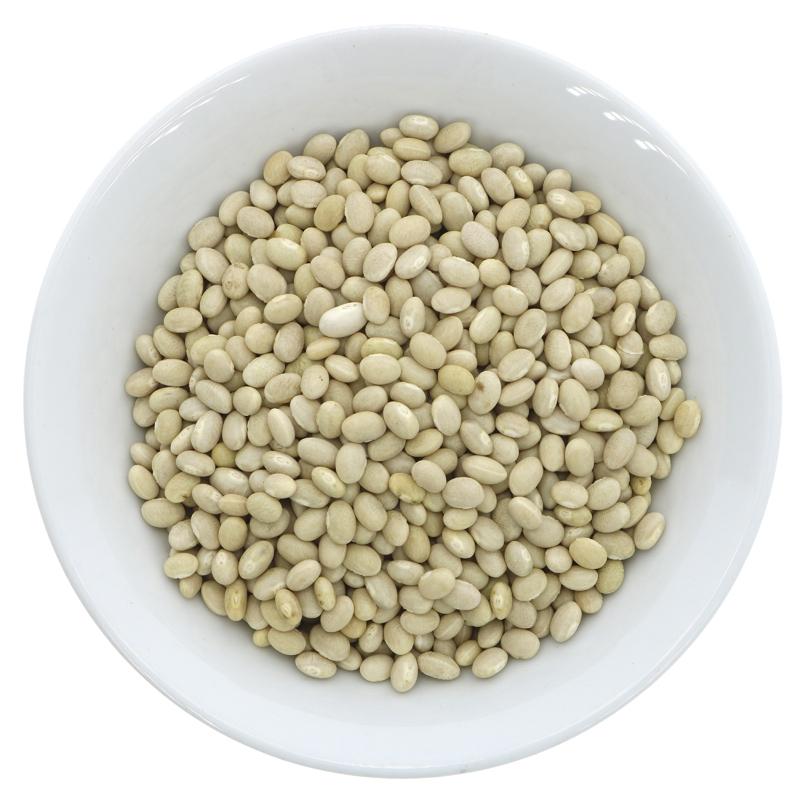 Haricot Beans - pinto