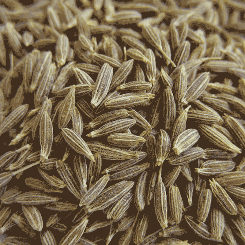 Cumin - Seeds