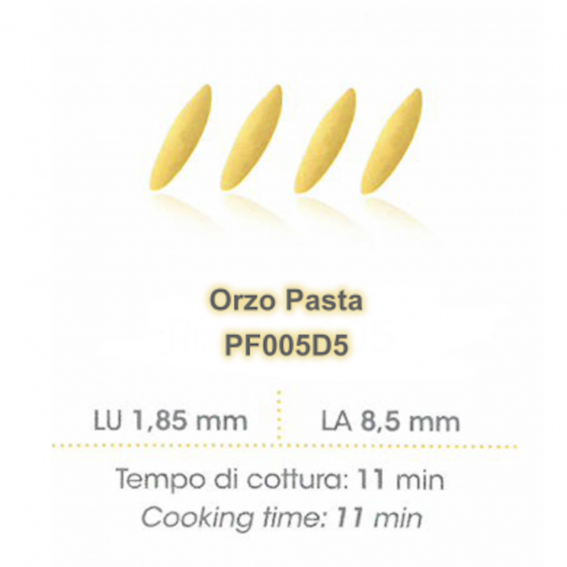 Orzo