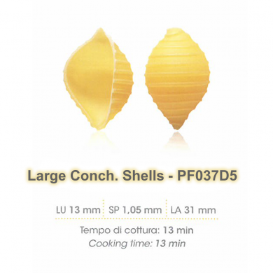 Shell Pasta - White