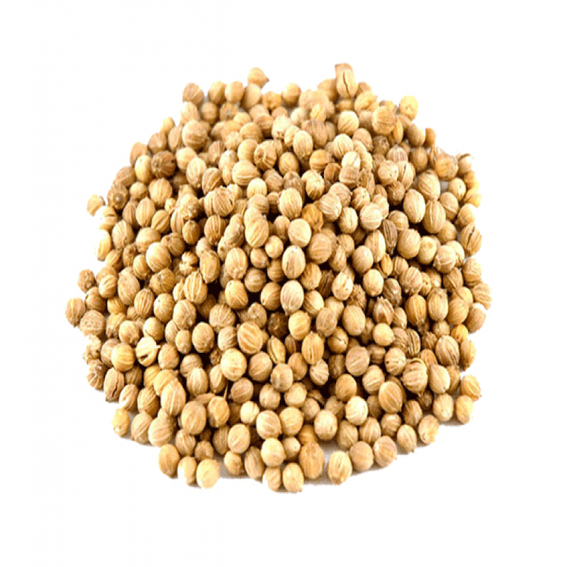 Coriander - Seeds