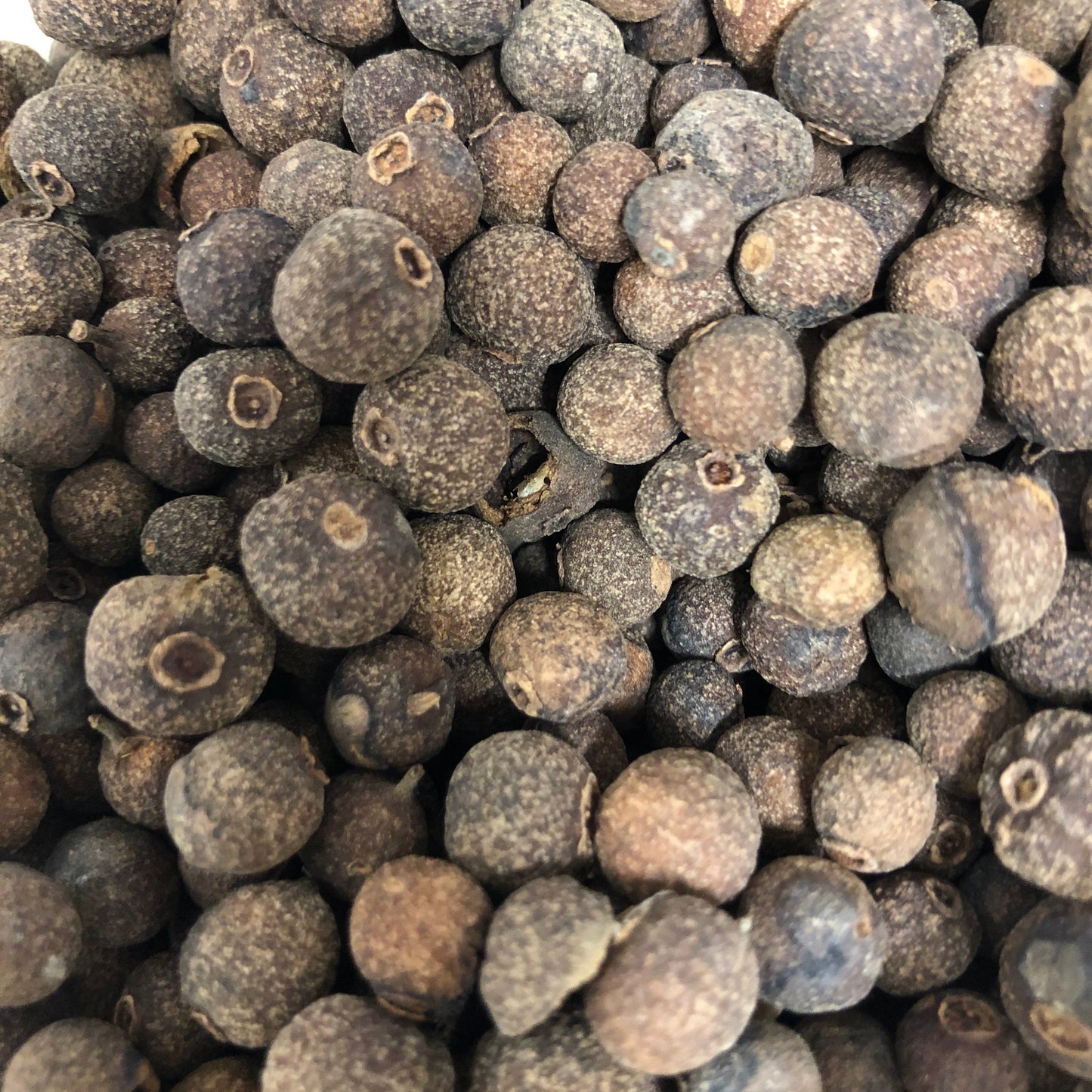 Allspice Ground