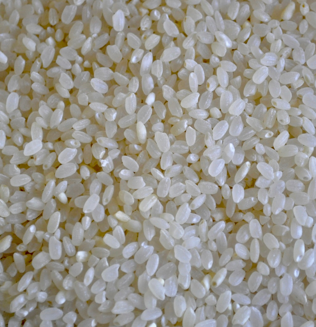 Sushi Rice