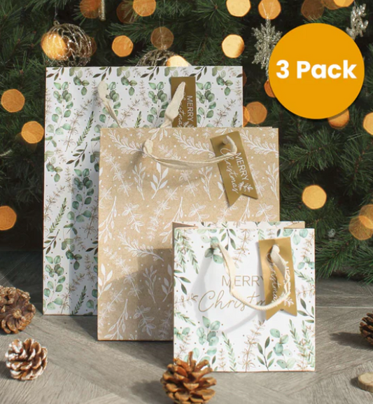 Ecovibe Green/Beige Gift Bag - 3 pack