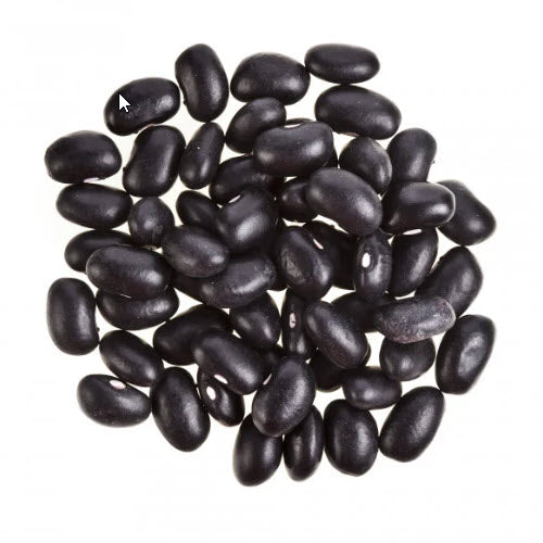 Pulses: Black Beans - Turtle Beans