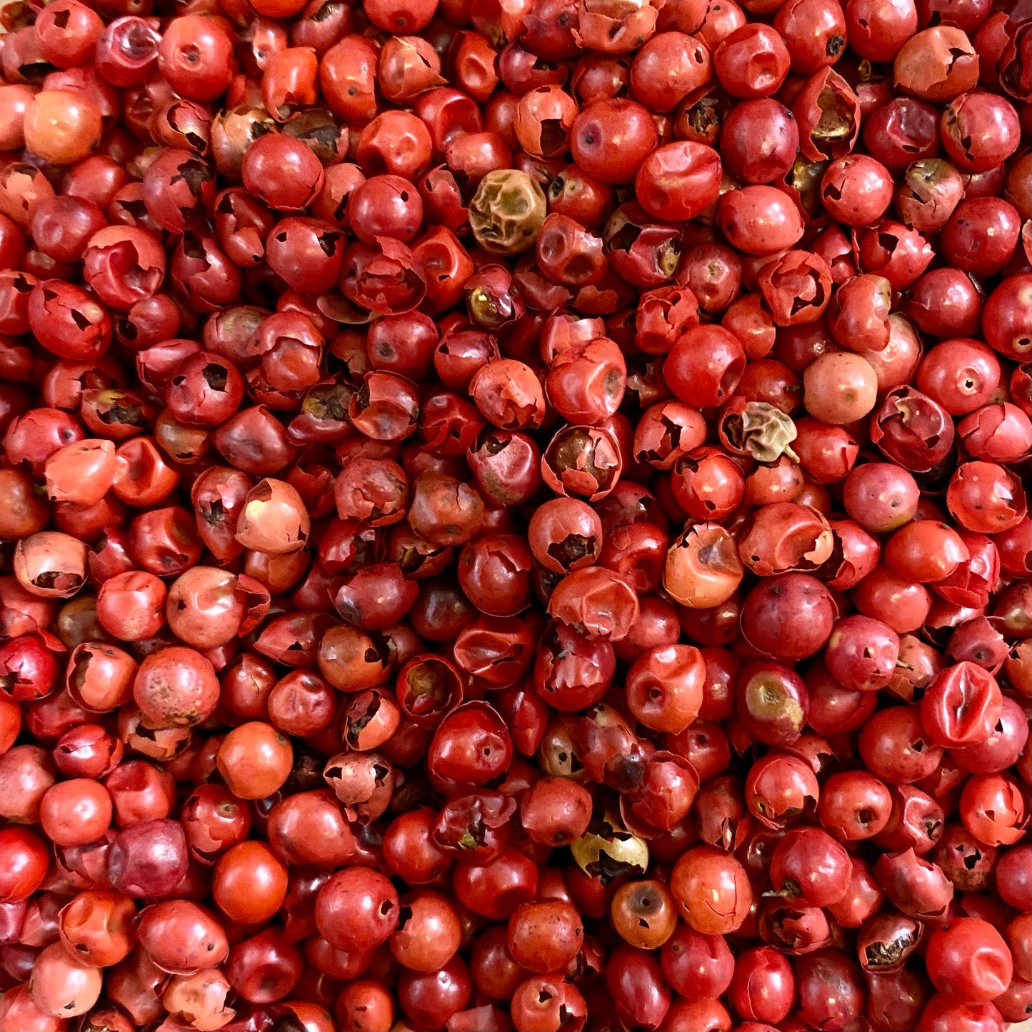 Spices: Pink Peppercorns
