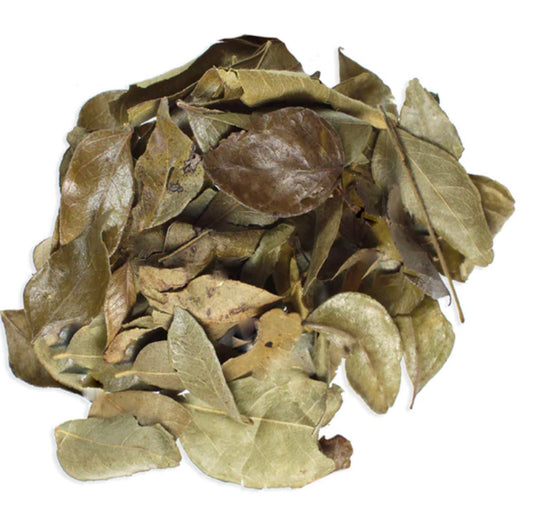 Herbs: Curry Leaves